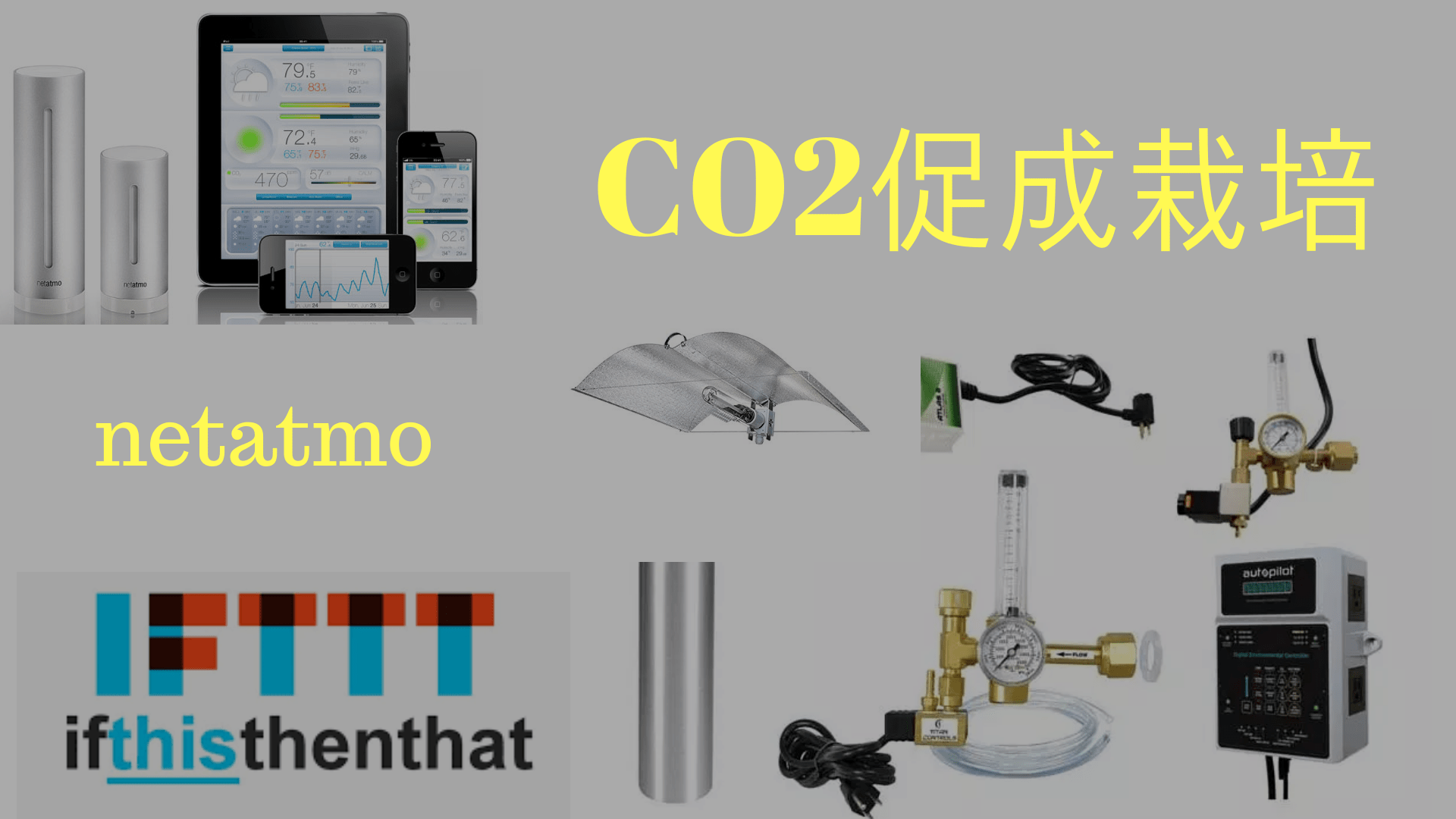 大麻に二酸化炭素をあげる方法。CO2促成栽培。そしてnetatmo