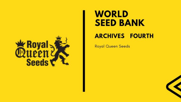 Royal Queen Seedsrneys Farm Seeds